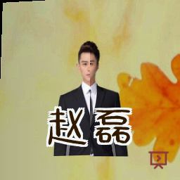 赵磊